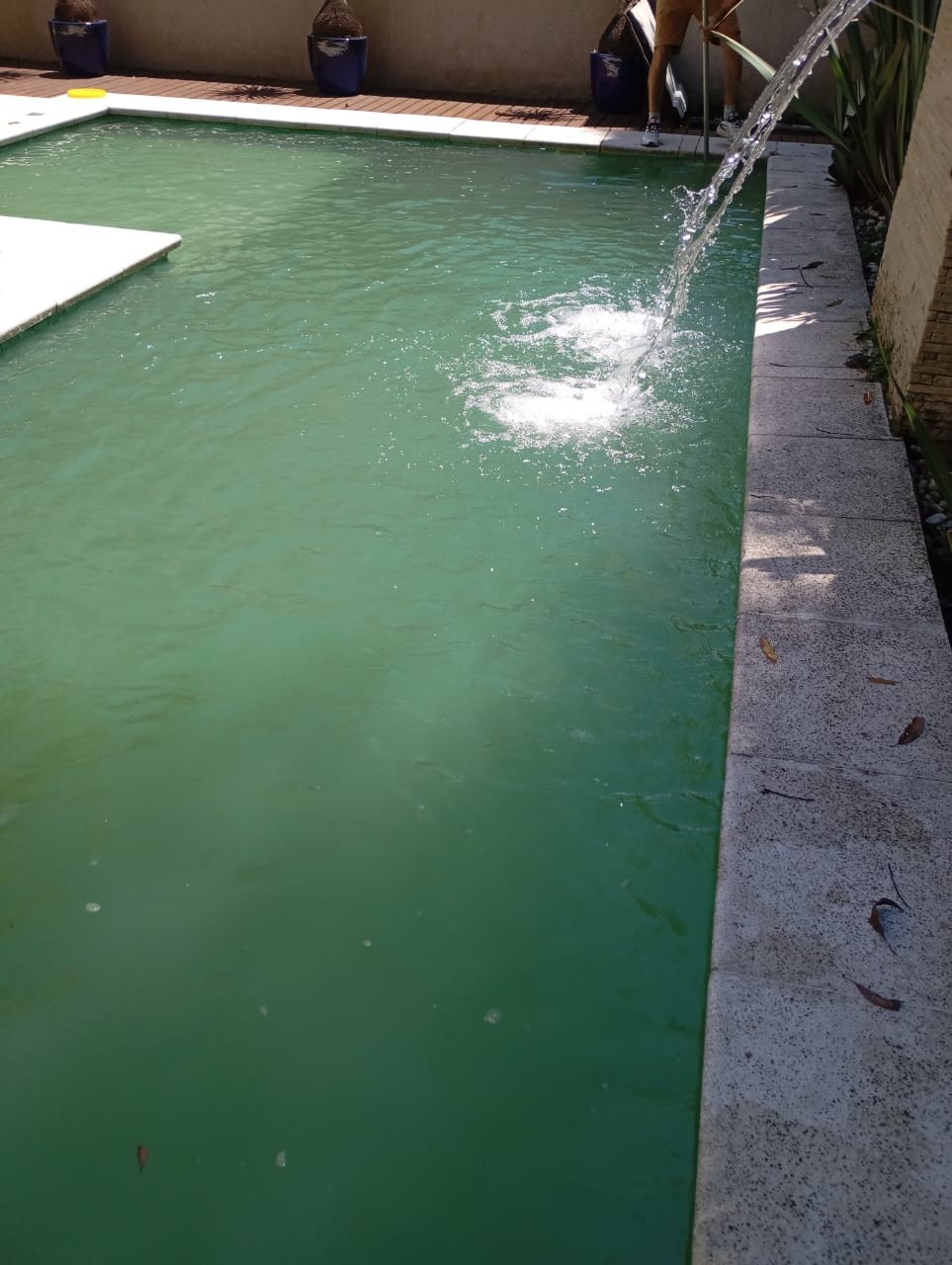 Cascata da piscina retangular no dia em que a água ainda estava verde